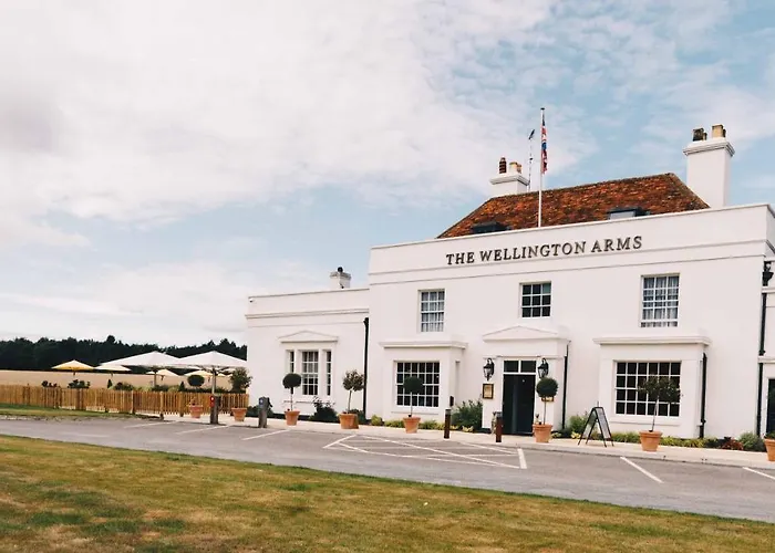 The Wellington Arms - Basingstoke-Reading